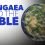 Pangaea and the Bible