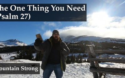 Psalm 27 – The One Thing You Need