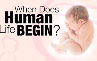 When Does Human Life Begin?