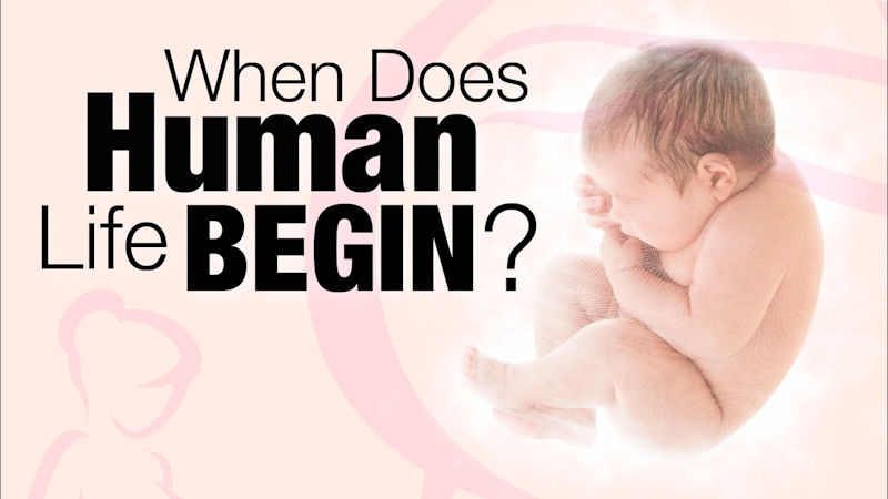 When Does Human Life Begin?