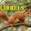 Wonders of Creation: Squirrels