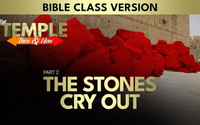 The Temple: Then and Now (Part 2): The Stones Cry Out