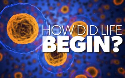 How Did Life Begin?