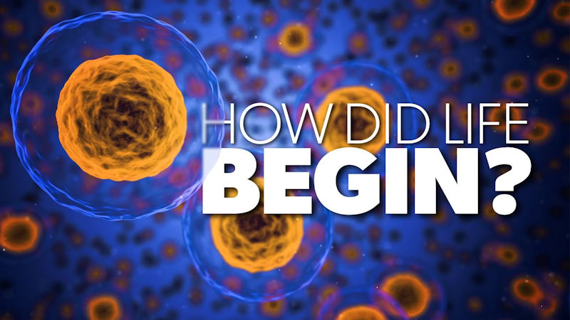 How Did Life Begin?