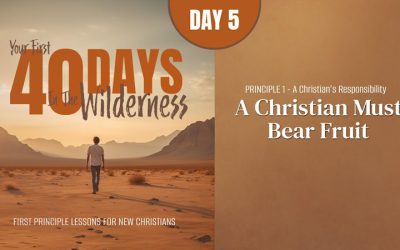 A Christian Must Bear Fruit