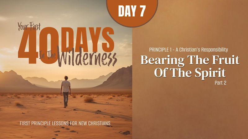 Bearing the Fruit of the Spirit (Part 2)