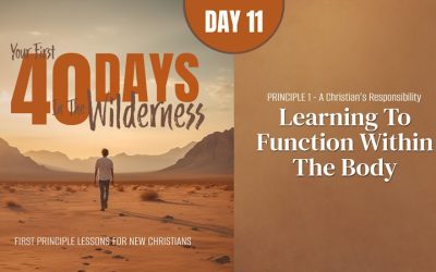 Learning to Function Within the Body