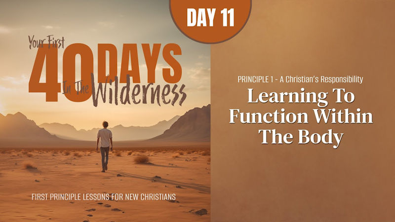 Learning to Function Within the Body