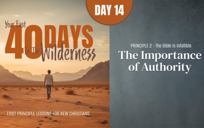 The Importance of Authority