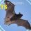 Wonders of Creation: Bats