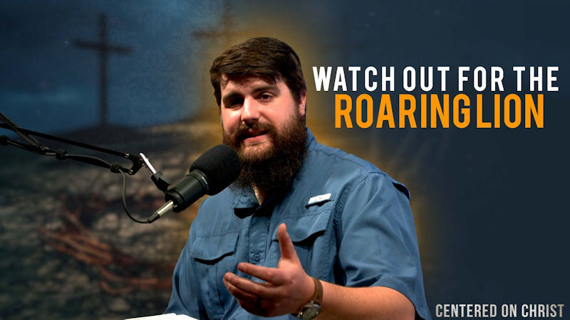 Watch Out for the Roaring Lion