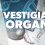 Vestigial Organs